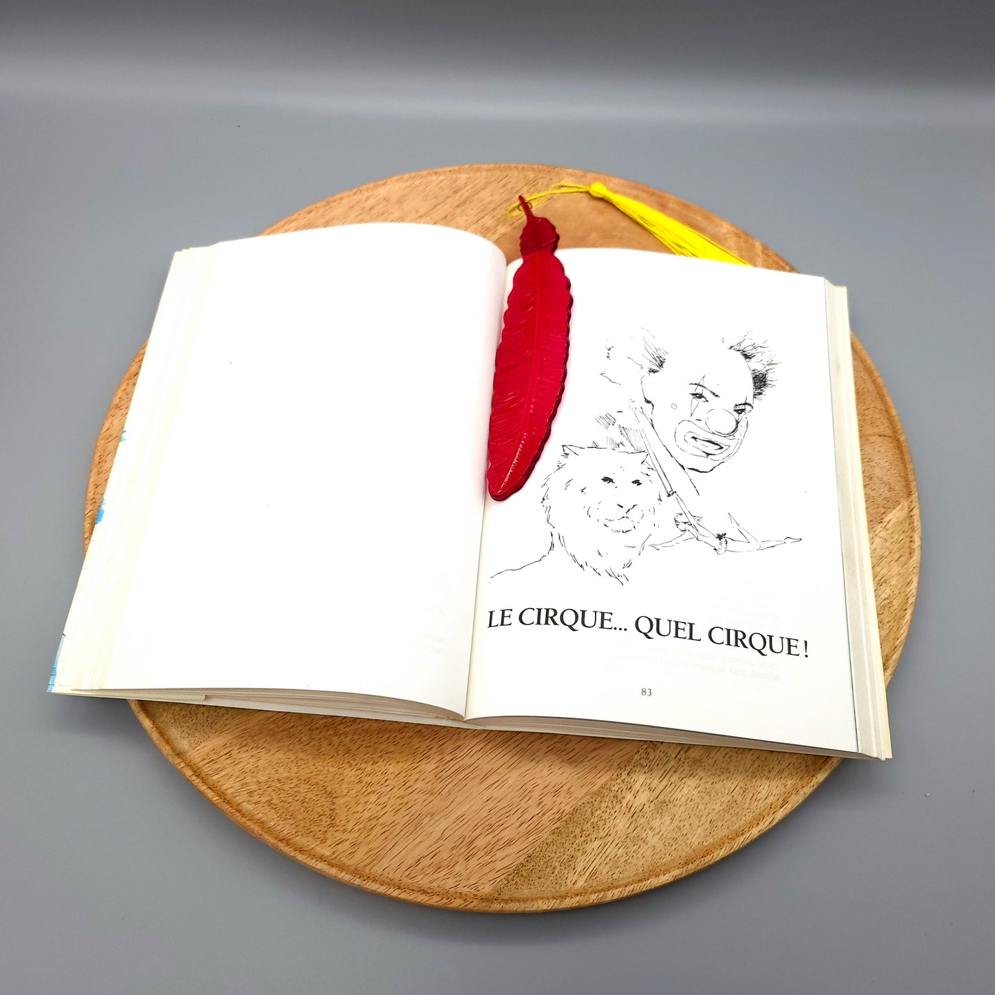 MARQUES PAGES GRANDE PLUME + POMPON - DIVERS MODÈLES + COLORIS UNIQUES, ARTISANAUX & ORIGINAUX