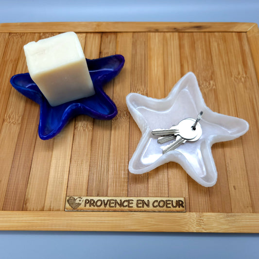 GRANDE DÉCO ÉTOILE DE MER 3D VIDE POCHES & SUPPORT À SAVONS EN RÉSINE - DIVERS MODÈLES UNIQUES, ORIGINAUX & ARTISANAUX