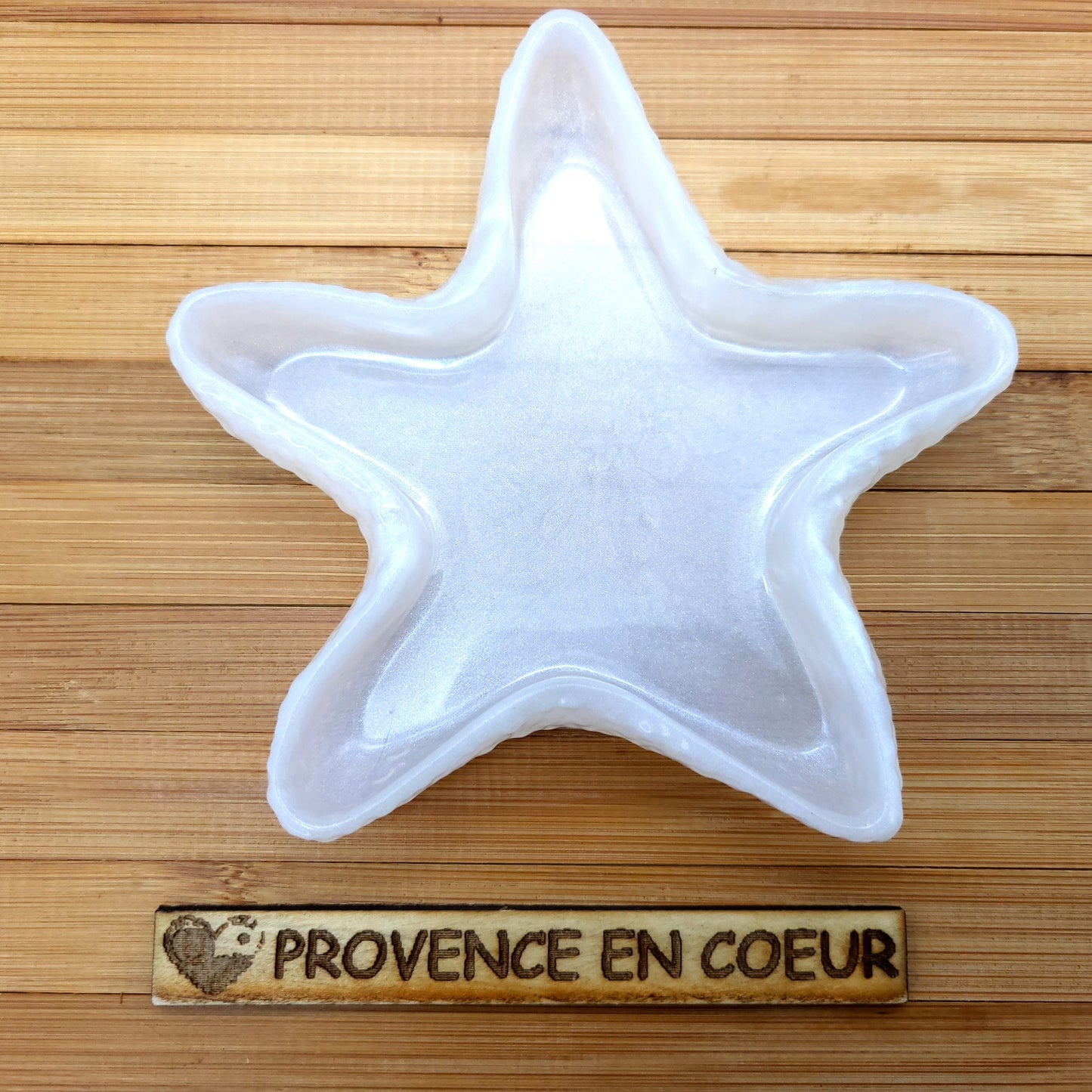 GRANDE DÉCO ÉTOILE DE MER 3D VIDE POCHES & SUPPORT À SAVONS EN RÉSINE - DIVERS MODÈLES UNIQUES, ORIGINAUX & ARTISANAUX