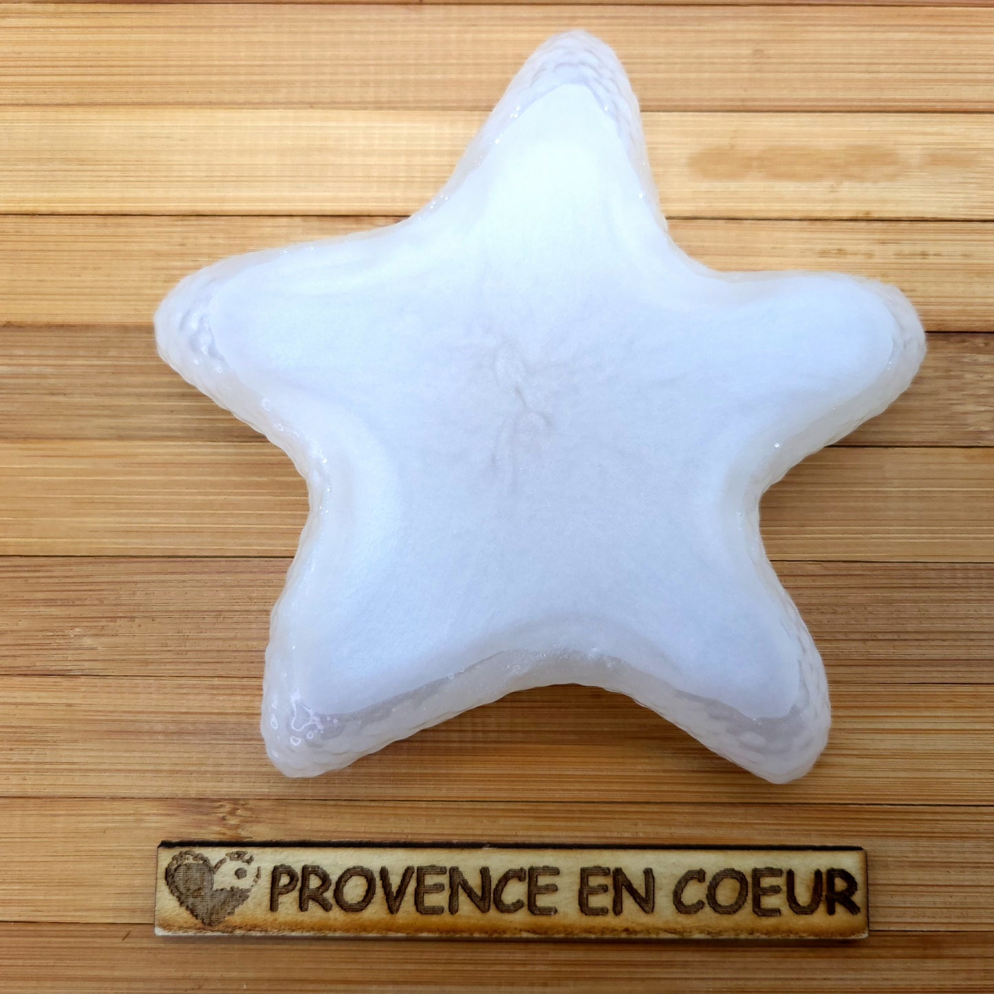 GRANDE DÉCO ÉTOILE DE MER 3D VIDE POCHES & SUPPORT À SAVONS EN RÉSINE - DIVERS MODÈLES UNIQUES, ORIGINAUX & ARTISANAUX