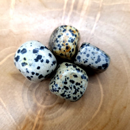 JASPE DALMATIEN EN PETITES PIERRES POLIES ET BRUTES