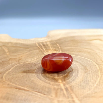 AGATE ORANGE RUBANÉE EN PETITES PIERRES POLIES ET BRUTES