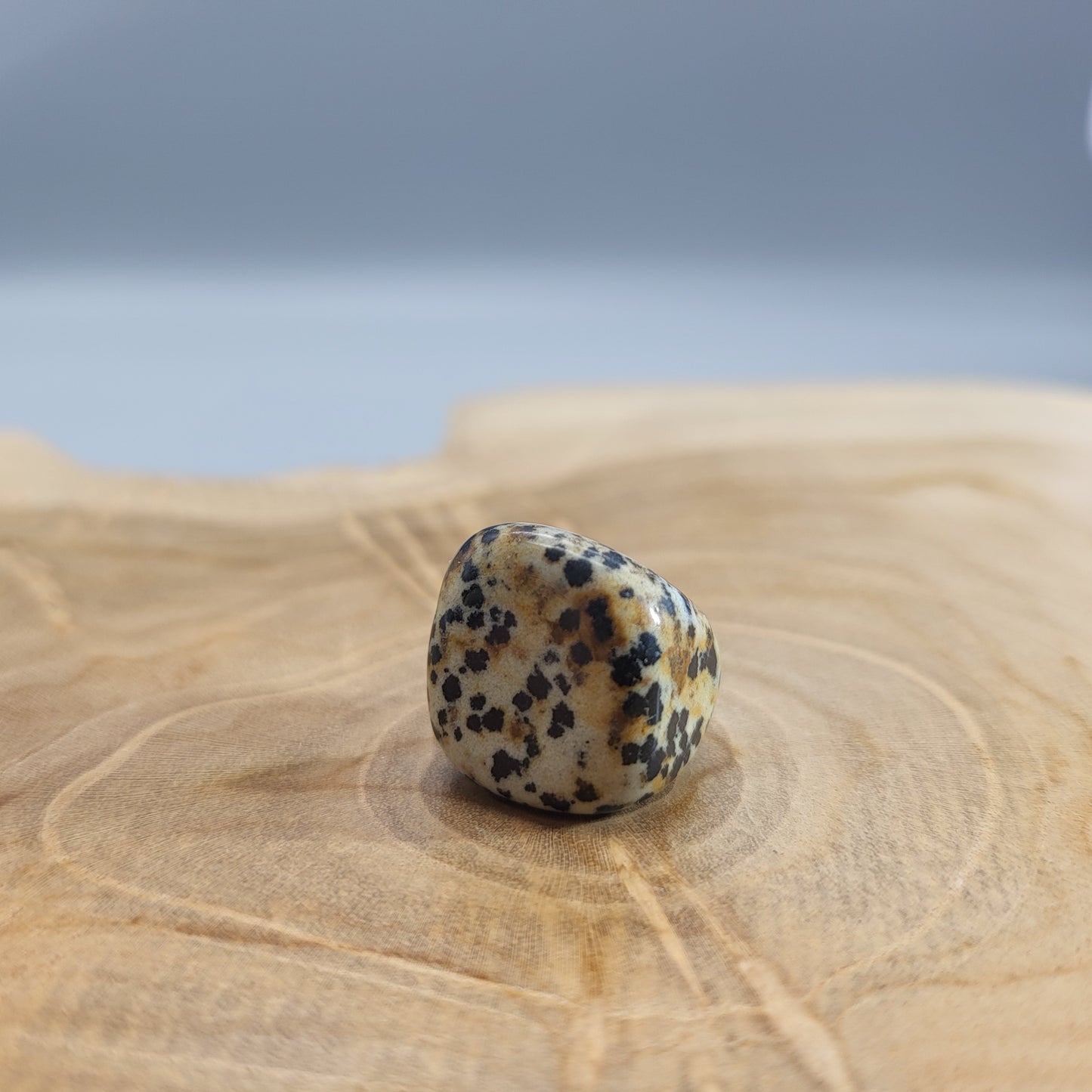 JASPE DALMATIEN EN PETITES PIERRES POLIES ET BRUTES