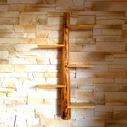 GRANDE ÉTAGÈRE AVEC TRONC EN BOIS DE CADE + 5 TABLETTES DÉCALÉES - MODÈLE ÉCOLO, ARTISANAL, ORIGINAL & UNIQUE