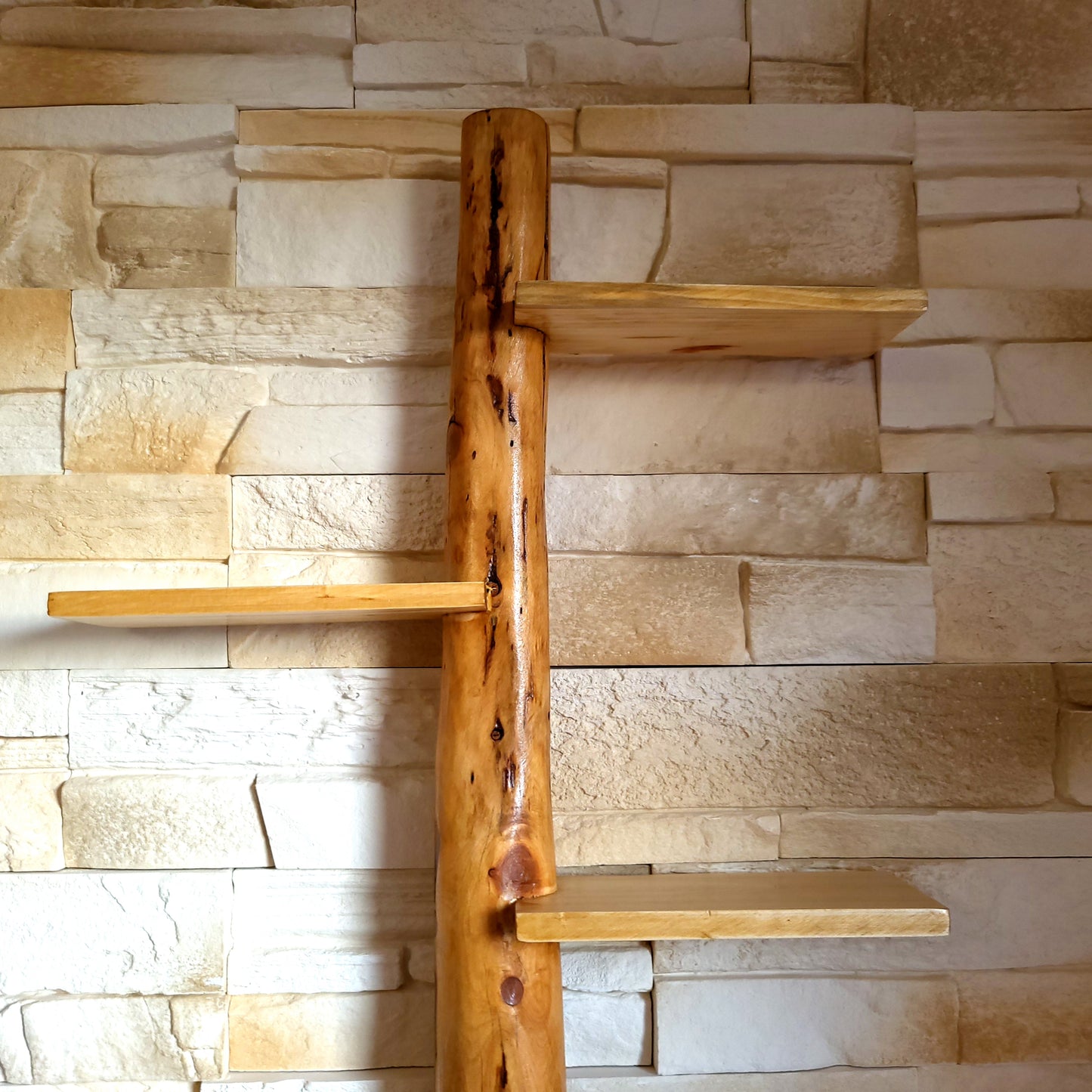 GRANDE ÉTAGÈRE AVEC TRONC EN BOIS DE CADE + 5 TABLETTES DÉCALÉES - MODÈLE ÉCOLO, ARTISANAL, ORIGINAL & UNIQUE