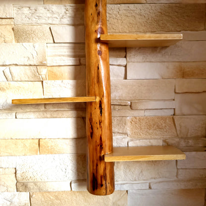 GRANDE ÉTAGÈRE AVEC TRONC EN BOIS DE CADE + 5 TABLETTES DÉCALÉES - MODÈLE ÉCOLO, ARTISANAL, ORIGINAL & UNIQUE