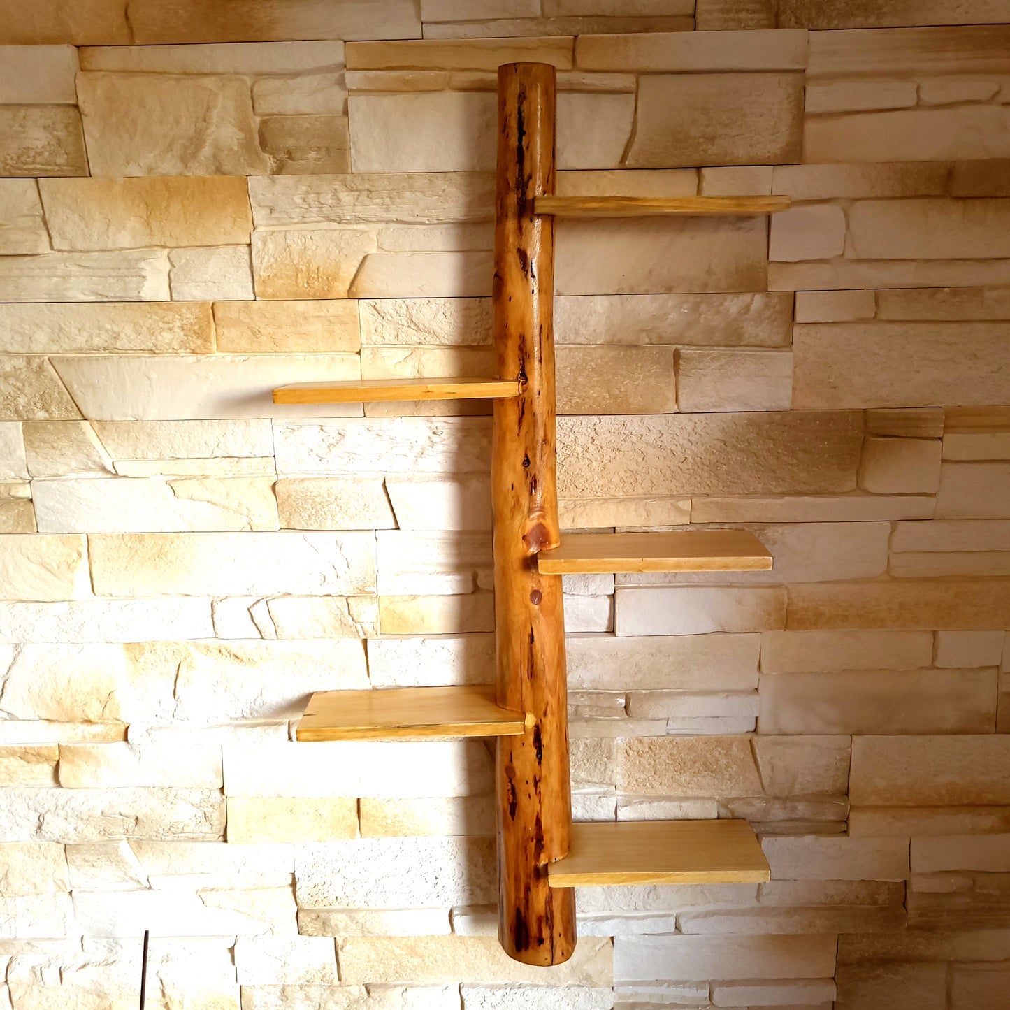 GRANDE ÉTAGÈRE AVEC TRONC EN BOIS DE CADE + 5 TABLETTES DÉCALÉES - MODÈLE ÉCOLO, ARTISANAL, ORIGINAL & UNIQUE