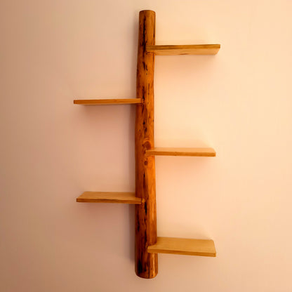 GRANDE ÉTAGÈRE AVEC TRONC EN BOIS DE CADE + 5 TABLETTES DÉCALÉES - MODÈLE ÉCOLO, ARTISANAL, ORIGINAL & UNIQUE