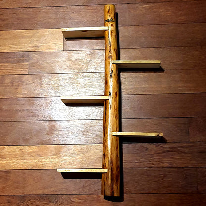 GRANDE ÉTAGÈRE AVEC TRONC EN BOIS DE CADE + 5 TABLETTES DÉCALÉES - MODÈLE ÉCOLO, ARTISANAL, ORIGINAL & UNIQUE