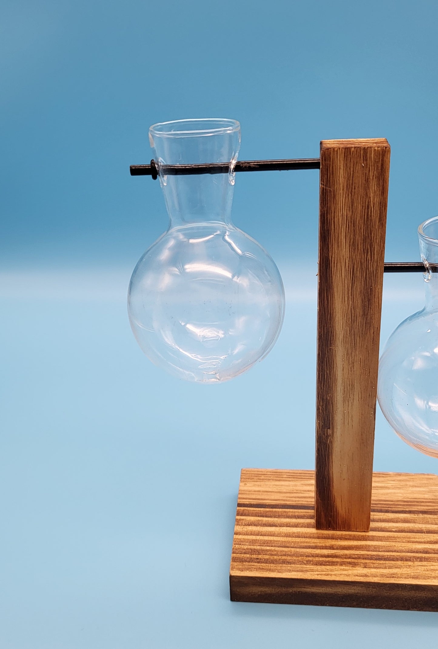 DÉCORATION DE 2 SOLIFLORES EN VERRE SUSPENDUS SUR SUPPORT EN BOIS - ARTISANALE, UNIQUE & ORIGINALE